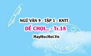 Soạn bài Dế chọi trang 18 Ngữ văn lớp 9 tập 1 Kết nối tri thức